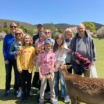 3-Day Private Tour : Kyoto, Arashiyama & Nara's Highlights - Who Will Love This Tour?