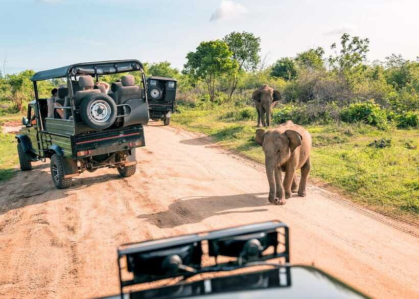 3-Day Private Tour: Sigiriya, Dambulla, Ella With Train Tour - Practical Details & Insights