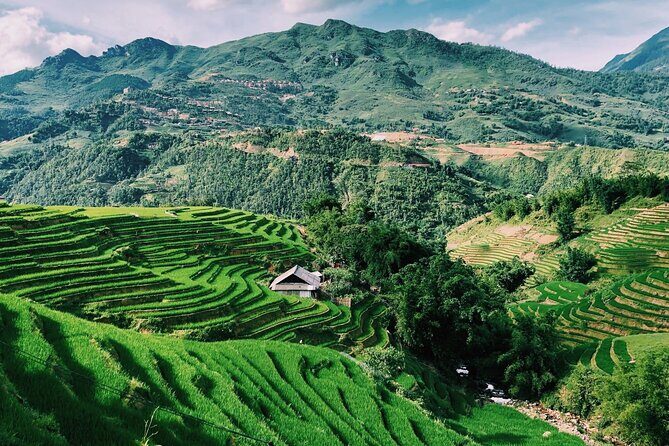 3-Day Sapa Adventure: Trekking Terraces and Hill Tribe Villages - Day 2: Deep Dives into Muong Hoa Valley and Bamboo Forest