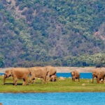 3 Day Taj Mahal and Jim Corbett National Park Safari Tour - The Practicalities: What You Need to Know