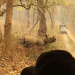 3 Days Chitwan Safari - Exploring Chitwan: A Closer Look at the Itinerary
