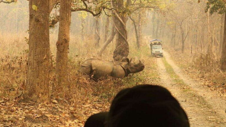 3 Days Chitwan Safari - Exploring Chitwan: A Closer Look at the Itinerary