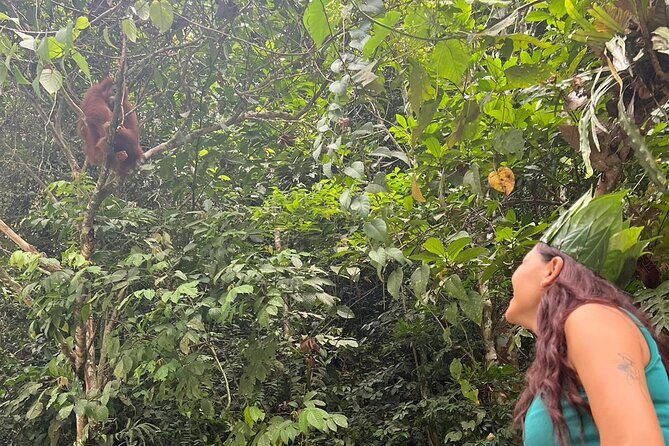 3 Days Orangutan Sumatra Jungle Trekking with Rafting - Why You’ll Love This Tour