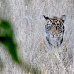 3-Days Private Luxury Golden Triangle Tour Agra Jaipur Delhi - Overview of the Tour Experience