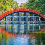 3 Days Private Osaka Kyoto and Nara Tour with English Driver - Practical Details and Value