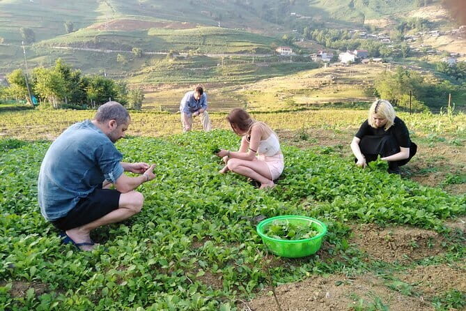 3-Days Sapa Trekking With Local Guide Overnight in Tavan Village - Who Is This Tour Best Suited For?  