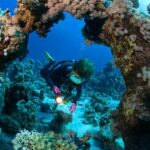 3 Fun Dives for Certified diver at Racha Yai/Noi - In-Depth Look at the Itinerary