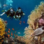 3 Fun Dives in Phi Phi islands for Certified Divers - Why This Tour Is Perfect for You