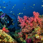3 Fun Dives King Cruiser Wreck and Koh DokMai for Certified diver - Comfort, Safety, and Extras