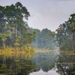 3 Nights 4 Days: Chitwan National Park with Tower Night Stay - The Value of the Package