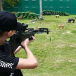 "3D-Challenge" Bow and Crossbow Shooting - Why This Experience Stands Out