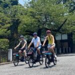 3h Tokyo E-Bike Tour: Hidden Gems, and Local Life with guide - An In-Depth Look at the 3-Hour Tokyo E-Bike Tour