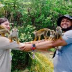 3x1: Monkeyland Waterfalls and Buggy Tour Puerto Plata - An In-Depth Look at the Tour Itinerary