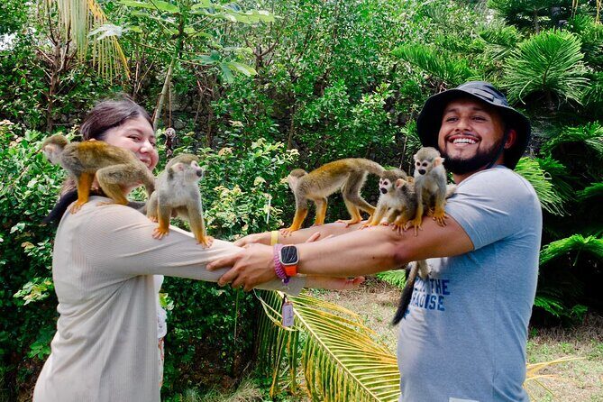 3x1: Monkeyland Waterfalls and Buggy Tour Puerto Plata - An In-Depth Look at the Tour Itinerary