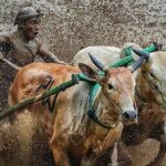 4 Days 3 Nights Private Tour in West Sumatra - Potential Drawbacks or Considerations