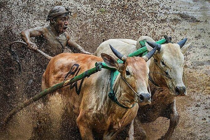 4 Days 3 Nights Private Tour in West Sumatra - Potential Drawbacks or Considerations