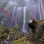 4 Days Bromo Ijen Tumpak Sewu from Surabaya Malang Banyuwangi - Exploring East Java: What to Expect from the Tour
