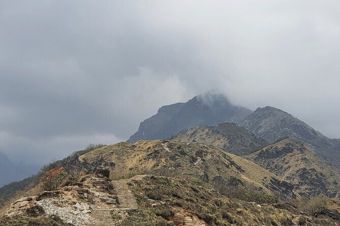 4 Days Mardi Himal Base Camp Trek from Pokhara - The Value of the Tour