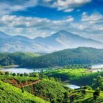 4 Days Private Kerala Tour -Kochi, Munnar, Thekkady with 3* Hotel - Day Three: Spice Trails and Wildlife in Thekkady