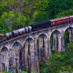 4 Days Tour to Sigiriya Nuwara Eliya Ella & Udawalawe From Kandy - What Makes This Tour Stand Out?