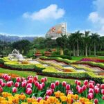 4-Hour Baiyun Mountain Yuntai Garden Private Guangzhou City Tour - Yuntai Garden: A Floral Wonderland