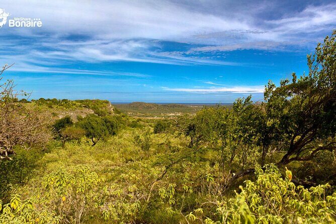 4-Hour Guided Island Tour in Bonaire for Singles and Doubles - Why This Tour Stands Out