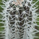 4 hour Individual Island Tour for 1 to 12 persons - The Experience from the Travelers Perspective