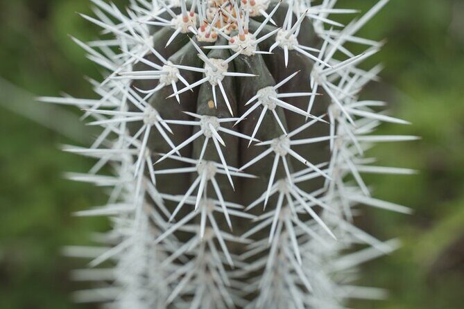 4 hour Individual Island Tour for 1 to 12 persons - The Experience from the Travelers Perspective