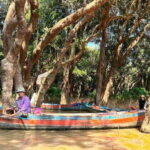 5-Day " ALL THE SIGHGTS " PRIVATE TOUR - Transportation and Comfort