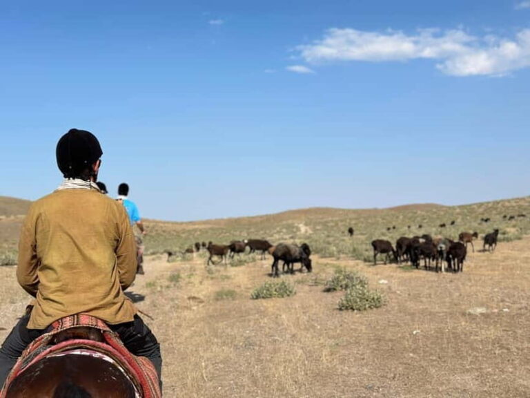 5-Day Horse Riding Tour in the Nuratau Mountains - Practical Details and Value