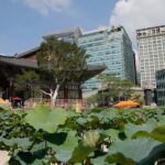 5-Day Seoul and Vicinity Heritage Tour with UNESCO Sites - Practical Considerations