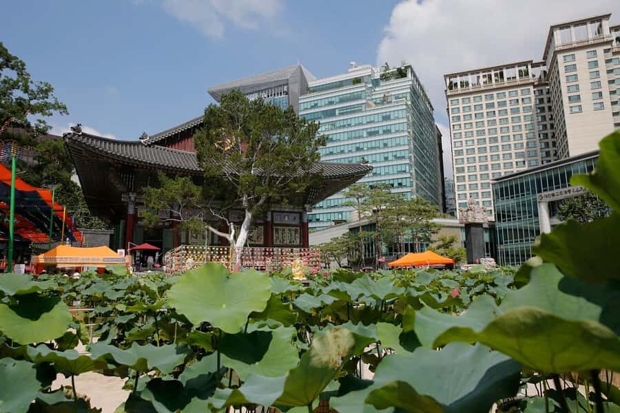 5-Day Seoul and Vicinity Heritage Tour with UNESCO Sites - Practical Considerations