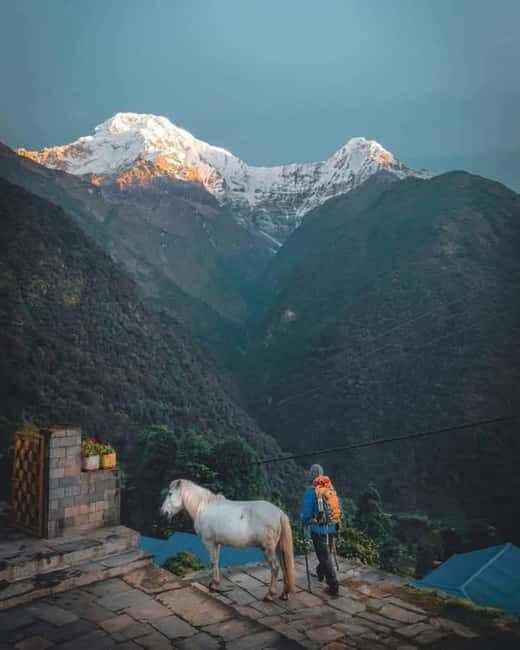5 Days Annapurna Base Camp Trek - A Practical Look at the Annapurna Base Camp Trek