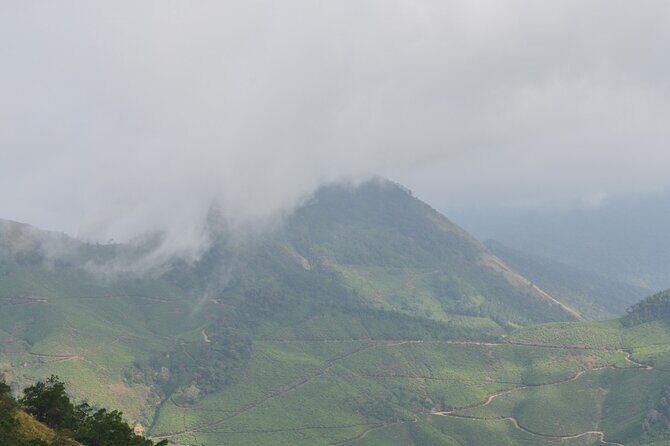 5 Days Kerala Tour with Private Car Houseboat Munnar and Thekkady - What Sets This Tour Apart