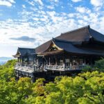 6-Day Osaka & Surroundings Tour - Who This Tour Best Suits