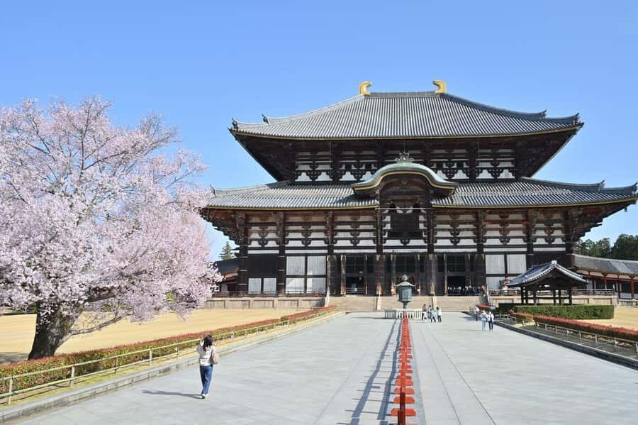 6-Day Osaka & Surroundings Tour - What’s It Like to Travel with This Tour?