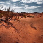 6 Days Color of Gobi Desert - Transportation, Accommodation, and Logistics