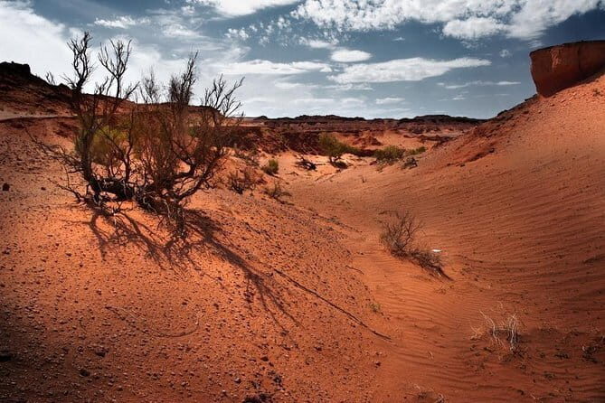 6 Days Color of Gobi Desert - Transportation, Accommodation, and Logistics