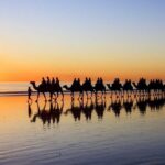 6 Days Kimberley Expedition Tour in Broome - Why This Tour Offers Great Value