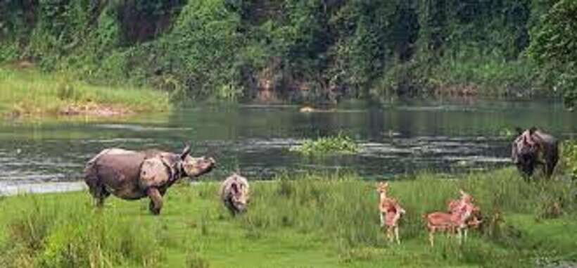 6 night 7 days Kathmandu Pokhara Chitwan Tour - Analyzing the Value and Experience