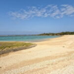 60min Buggy / ATV adventure tour in Jungle in Okinawa - Final Thoughts