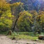 7-Day Langtang Valley Trek from Kathmandu - Practical Considerations and Logistics