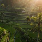 7 Days Bali and Gili Islands Epic Experience - Who Is This Tour Best For?