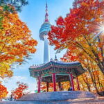 7 days Flexible Tour for Major Cities(Seoul,Busan,Gyeongju etc) - Who Is This Tour Best For?