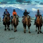 7 Days Private Ladakh India Tour with Transportation - What’s Included and Not