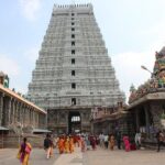 7 Days Spiritual Tamilnadu Private Tour from Chennai - Day-by-Day Breakdown