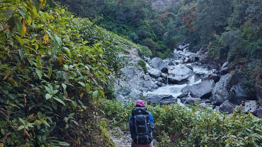 8 Day Langtang Valley Trek for Beginners - What Makes This Trek Stand Out?  
