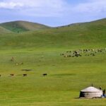 8 Days / 8 Lake area Central Mongolian horse trekking - Frequently Asked Questions