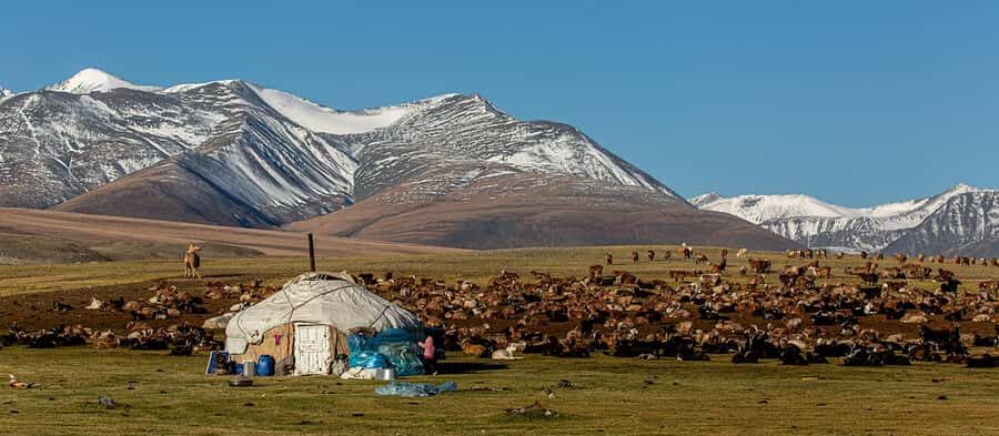 9-Day Altai Tavan Bogd National Park Tour - Day 1: Arrival in Ulaanbaatar
