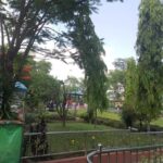 9-Day Mardi Himal Trek with Scenic Nepal City Tour - The Value of This Trek